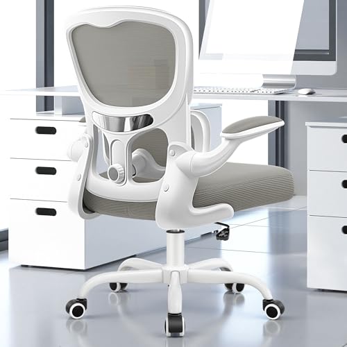 ALLGOD Ergonomic Office Chair, Breathable Mesh Ergonomic Desk Chair with Adjustable Lumbar Support, Flip-up Armrests, Computer Chairs Comfortable for Home, Office, Work, 300lbs, LightGray, Upgrade - color: Lightgray, size: 1 Pack