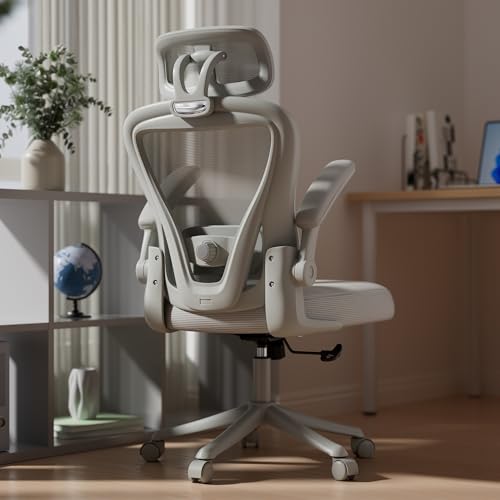 Ergonomic Office Chair M903, Computer Desk Chair | High Back Mesh Office Chair with Adjustable Lumbar Support, Headrest, Flip-Up Armrests, Wheels, 330LBS Capacity, All Grey - color: All Grey