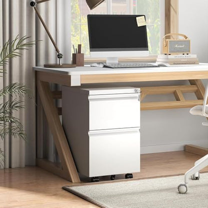 Guizeeopo 2 Drawer Locking File Cabinet, Fully Assembled Heavy-Duty Metal Filing Cabinets for Home Office, Quiet Slides, Anti-Tipping Wheels, Fits A4/Letter/Legal, Matte White - color: 03-b White