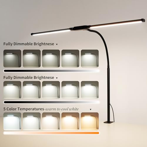 Dual-Head LED Desk Lamp for Office Home, Adjustable Flexible Eye-Caring Desk Light, 5 Modes 10 Brightness Adjustment, USB Adapter Desk Lamp with Clamp-ST-B - style: Double Head Black