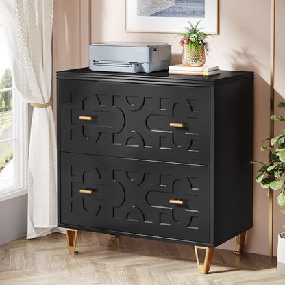 Tribesigns 2-Drawer Lateral File Cabinet, Black and Gold | Modern, Legal/Letter/A4 Size, Large Storage, Printer Stand, Home Office - color: Black & Gold