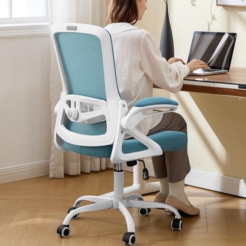 Ergonomic Office Chair, Desk Chair with Adjustable Lumbar Support, Breathable Mesh Comfy Computer Chairs with Flip-up Armrests Executive Task Chair for Adults Home Office (Lake Blue) - color: Lake Blue