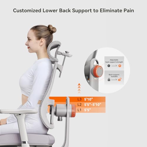Newtral Ergonomic Office Chair, Auto-Following Lumbar Support Desk Chair with Footrest (Grey, 5D Headrest) - color: Grey, size: 5D Headrest