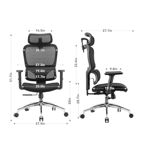 SIHOO M56 Ergonomic Office Chair, Dual Backrest, Adaptive Lumbar Support - color: Dark Black, size: Pack of 2