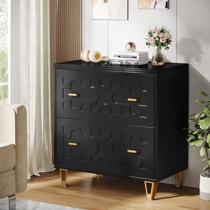 Tribesigns 2-Drawer Lateral File Cabinet, Black and Gold | Modern, Legal/Letter/A4 Size, Large Storage, Printer Stand, Home Office - color: Black & Gold
