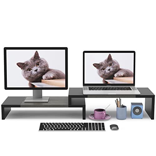 WESTREE Dual Monitor Stand Riser - 2 Shelf Computer Stand with Adjustable Length and Angle, Desktop Organizer for 2 Monitors - color: Grey