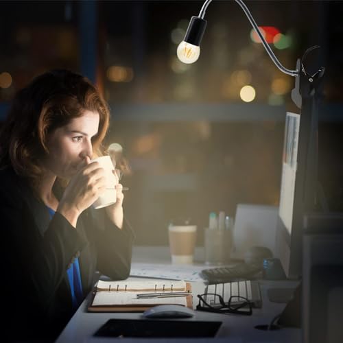 Clip Desk Lamp Socket 2 Pack Flexible Gooseneck Lamp Stand Clip-On with Switch Plugs Clip on Light with Flexible Neck Portable Clip on Light Metal Clip Holder Desk Study Clamp Lamp - color: Black, size: 2PCS