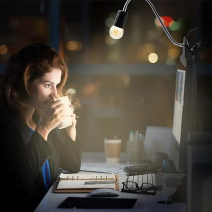 Clip Desk Lamp Socket 2 Pack Flexible Gooseneck Lamp Stand Clip-On with Switch Plugs Clip on Light with Flexible Neck Portable Clip on Light Metal Clip Holder Desk Study Clamp Lamp - color: Black, size: 2PCS
