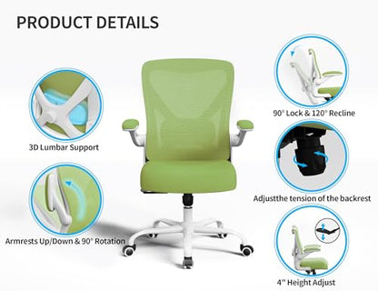 Ergalithic Office Chair: Mesh Ergonomic Desk Chair with 3D Lumbar & Swivel - color: Green, size: Pack of 1
