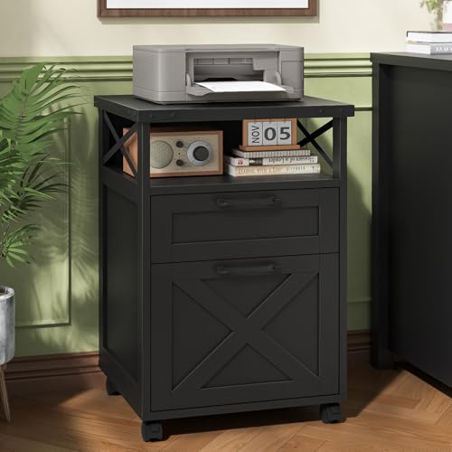 Halitaa Office Filing Vertical Cabinet with 2 Drawers, Black | Farmhouse Filing Cabinet with Open Storage Space, Wheels and Printer Stand for Hanging Files Letter/A4 for Home Office - color: Black, style: Vertical