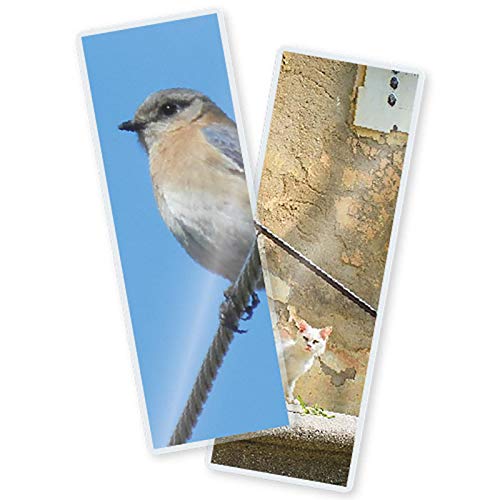 7 Mil Laminating Pouches with Rounded Corners | Casket Record Size | 3-1/8 in. x 9 in. | Glossy Finish | Premium Adhesive for High-Clarity | 2 Carriers Included | 100 Pack