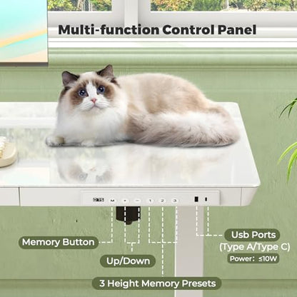 35" Electric Standing Desk with Drawer, One-Piece Glass Top - color: White Glass-top, size: 35"