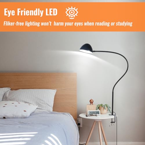 Long Gooseneck Clamp Lamp, Clip Desk Lamp with Clamp, 10W, 1100 LMS, 3 Color Modes, 10 Brightness Levels, 31 Inches Long Flaxible Gooseneck, Perfect for Craft, Reading, Home, Office - size: Large