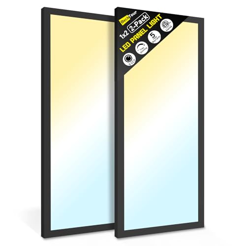 1x2 LED Flat Panel Light Surface Mount 2-Pack, Flush Mount Ceiling Light 24W 2880LM, 5CCT 3000K/3800K/4500K/5200K/6000K, Dimmable Panel Lights Black - color: Black, size: 1Ft. x 2Ft. (2-PACK)