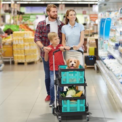 Beyond Collapsible Shopping Cart on Wheels, Shopping Cart with 2 Storage Crates, 2-Tier Multi Functional Utility Cart for Grocery/Warehouse/Office/Supermarket - Blue