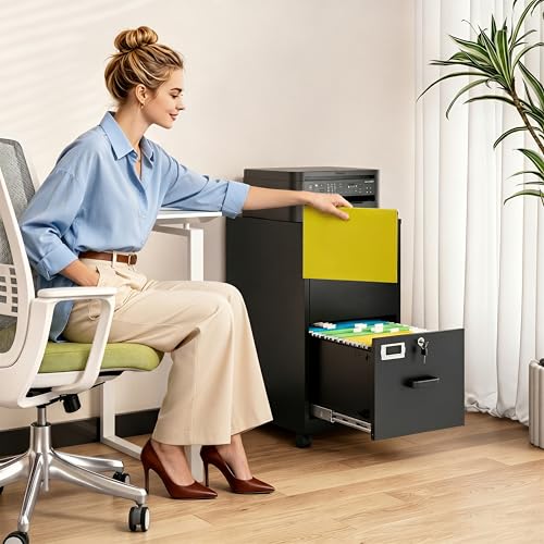 BYNSOE 2 Drawers File Cabinet with Lock Metal Vertical File Cabient with Wheels Mobile File Cabinet for Office Home Legal/Letter/a4 Size Require Assembly - color: Black, size: 27.36"H x 17.71"D x 15"W