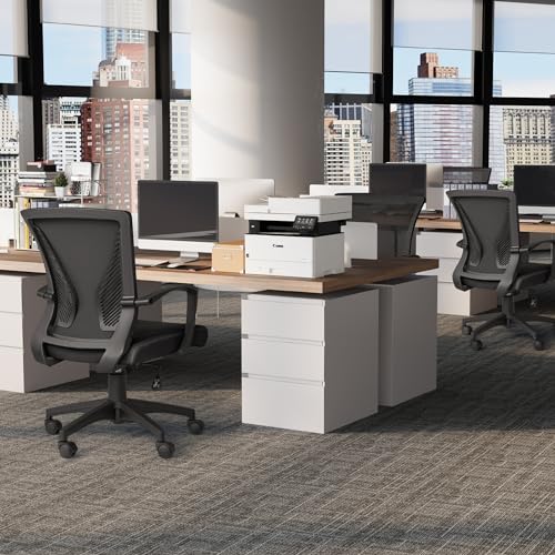 Furmax Office Chair Ergonomic Computer Desk Mesh Chair Mid Back Swivel Lumbar Support with Armrest (1, Black) - color: Black