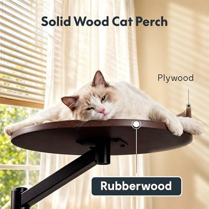 FLEXISPOT EN2 55"x28" Standing Desk Bundle with Monitor Mount, Maple - color: Black Frame + Black Top, size: 55x28 | Cat Bed