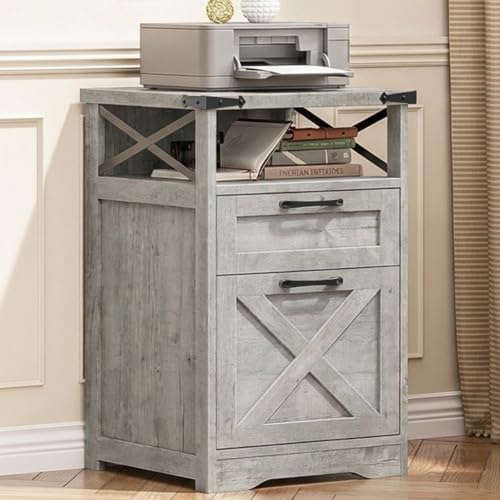 Halitaa Office Filing Vertical Cabinet with 2 Drawers, Grey | Farmhouse Filing Cabinet with Open Storage Space and Printer Stand for Hanging Files Letter/A4 for Home Office - color: Grey, style: Vertical