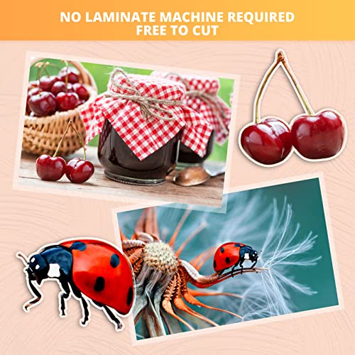 HTVRONT Clear Self-Adhesive Laminating Vinyl Roll 12x15 FT - size: 15ft
