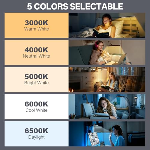 Kary 12W LED Desk Lamp for Home Office, Flexible Gooseneck Task Light Tall | Eye-Caring, Touch Control, 5 Dimmable Color & Brightness, Metal Base, 45 Min Timer, Memory Function, USB Adapter - color: Base-Black(1)