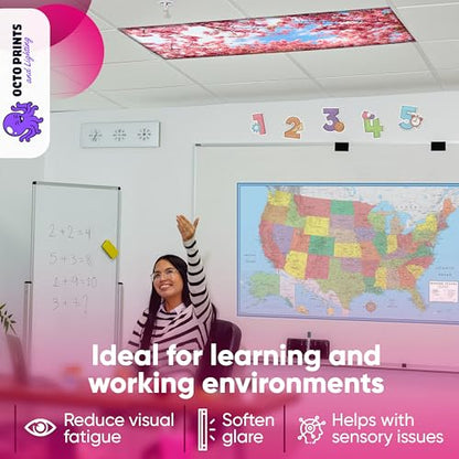 Fluorescent Light Covers for Ceiling Lights Classroom Magnetic Seasons 4pk - color: 4 Seasons
