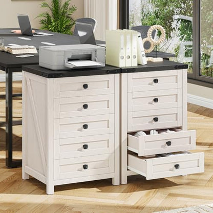Halitaa 5 Drawer Small File Cabinet, Farmhouse Vertical Filing Cabinet - color: Rustic White and Black