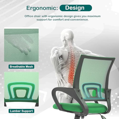 Reusleag Ergonomic Mesh Home Office Chair with Lumbar Support, Mid Back, Rolling Swivel, Adjustable Height, Small Meeting Chairs, Green