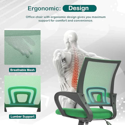 Reusleag Ergonomic Mesh Home Office Chair with Lumbar Support, Mid Back, Rolling Swivel, Adjustable Height, Small Meeting Chairs, Green