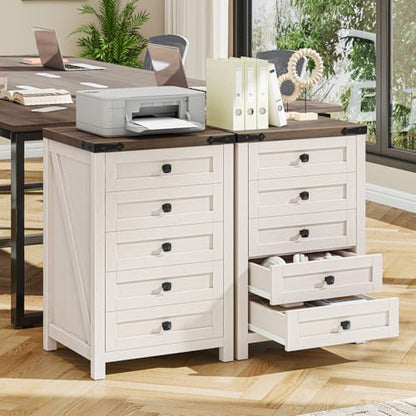 Halitaa 5 Drawer Small File Cabinet, Farmhouse Vertical Filing Cabinet - color: Rustic White and Brown
