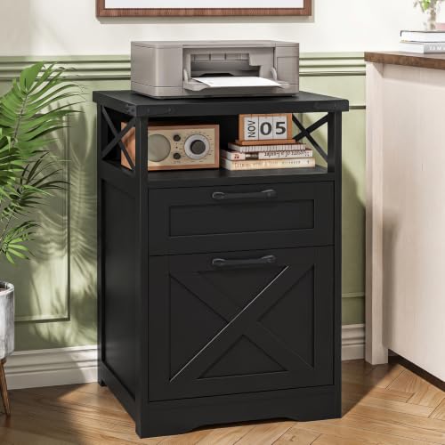 Vabches Office Filing Vertical Cabinet with 2 Drawers, Black | Farmhouse Filing Cabinet with Open Storage Space and Printer Stand for Hanging Files Letter/A4 for Home Office. - color: Black, style: Vertical