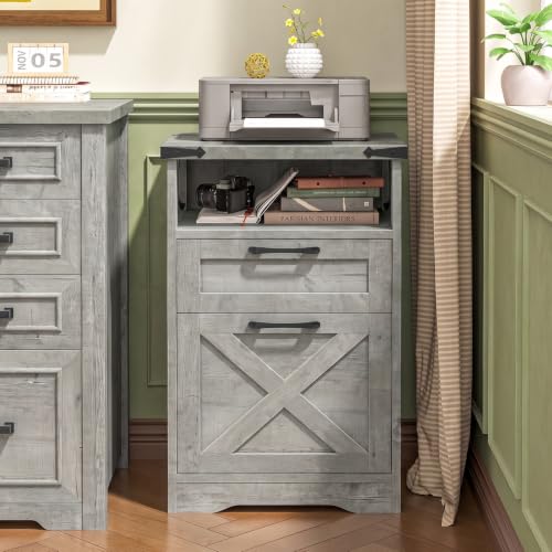 Halitaa Office Filing Vertical Cabinet with 2 Drawers, Grey | Farmhouse Filing Cabinet with Open Storage Space and Printer Stand for Hanging Files Letter/A4 for Home Office - color: Grey, style: Vertical
