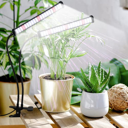 GooingTop Grow Light 100W 6000K, Super Bright White Desktop Clip Plant Lamp - size: 100Watts