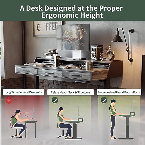 FEZIBO Electric Standing Desk 55x26 Inches with 3 Wood Drawers and Monitor Shelf, Height Adjustable Computer Desk, Ergonomic Rising Home Office Desks, Sit Stand Up Workstation Table, Rustic Grey