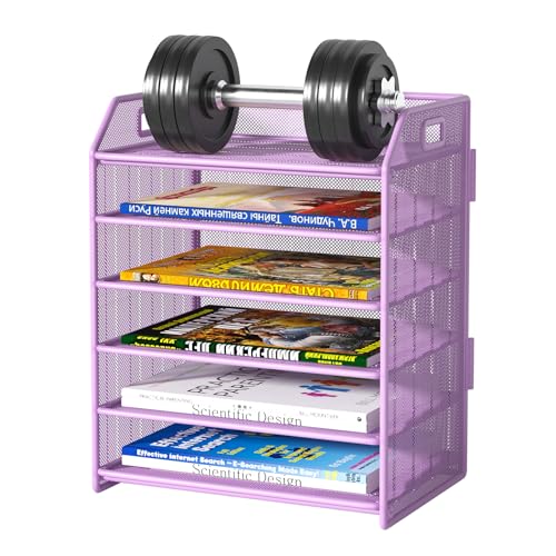 6 Tier Paper Organizer Letter Tray, Metal Mesh Paper Tray Organizer for Desk with Pull-Out Bottom Tray, Desktop File Organizer for Letter/A4 Files, Office Home Classroom, Purple - color: 6-tier Purple