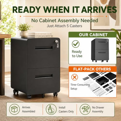 SAWJEC 2 Drawer File Cabinet with Lock, Fully Assembled Mobile Cabinet - color: 04b-black