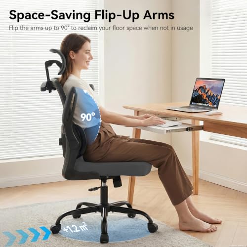 AreShark Ergonomic Office Chair, Desk Chair with Adjustable Lumbar Support | High Back Breathable Mesh Computer Chair with Adjustable Headrest,Hanger,Flip Up Armrest and Rocking Function for Home Office - color: Dark Gray