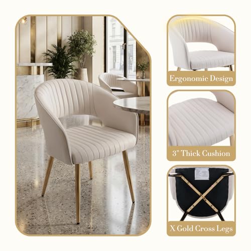 Modern Dining Chairs Set of 2, Upholstered PU Leather Dining Room Chairs with Gold Metal Legs, Accent Kitchen Chairs with Curved Backrest for Living Room, Cream - color: Cream