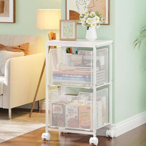 Rolling File Cart with 2 Storage Drawers,Under Desk Storage Cart,Hanging File Folder Organizer with Wheels, Filing Cabinet Mobile Printer Stand Utility Craft Cart for Home Office,White