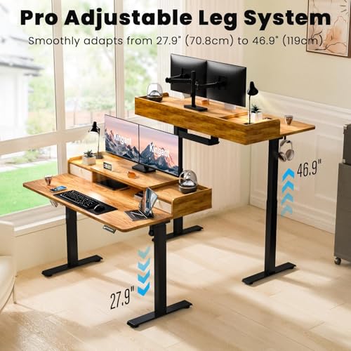 Kingant Standing Desk with Dual Drawers,Electric Height Adjustable 48"x 30" - color: Light Rustic Brown, size: 48" x 30"