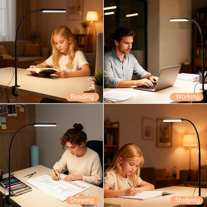 LED Desk Lamp for Office Home, Adjustable Flexible Eye-Caring Desk Light with,5 Modes 10 Brightness Adjustment, USB Adapter Desk Lamp with Clamp-MINI-B - style: Mini
