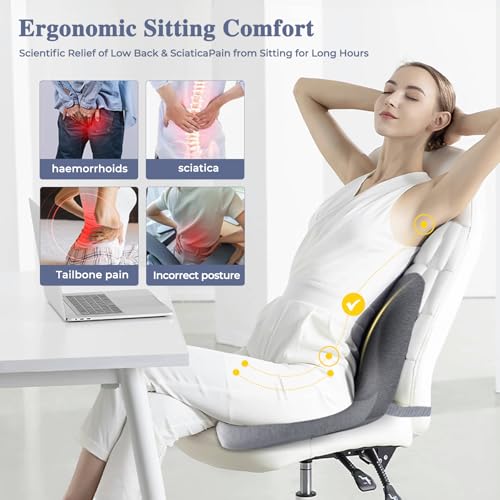 Seat Cushion with Lumbar Support Pillow, Back and Seat Cushion for Office - color: Light Gray