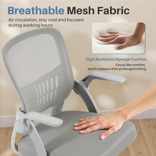 DUMOS Office Chair, Ergonomic Home Desk Chair, Ergonomic Lumbar Support - color: Grey Flip Arm