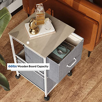 DEVAISE 2 Drawer Mobile File Cabinet, Fabric Vertical Filing Cabinet - color: Light Grey