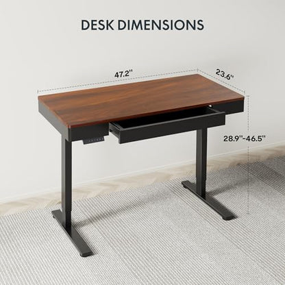 FLEXISPOT Standing Desk with Drawer, 48 x 24 Inch Electric Adjustable Height Stand Up Desk with Storage Organizer, Whole Piece Wooden Desktop for Home, Office, Computer Workstation, Dark Walnut