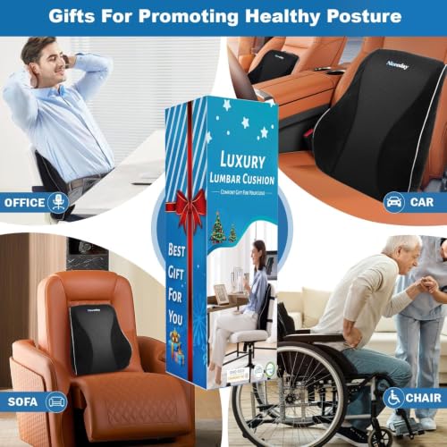 Lumbar Support Pillow for Office Chair Car, Gaming Chair Lower Back Pain Relief Memory Foam Cushion with Greeting Card,3D Mesh Cover Ergonomic Back Rest, Birthday Gift for Dad,Stocking Stuffers - size: Full Back Gift Box-17'*16'*5'