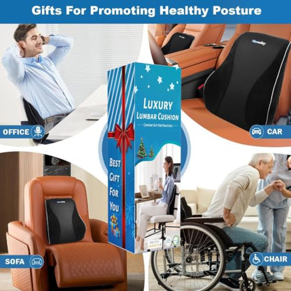Lumbar Support Pillow for Office Chair Car, Gaming Chair Lower Back Pain Relief Memory Foam Cushion with Greeting Card,3D Mesh Cover Ergonomic Back Rest, Birthday Gift for Dad,Stocking Stuffers - size: Full Back Gift Box-17'*16'*5'