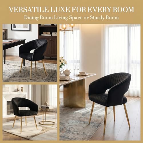 Velvet Dining Chairs Set of 2, Upholstered Dining Room Chairs with Gold Metal Legs, Modern Accent Kitchen Chairs with Curved Backrest for Living Room, Black - color: Black 2