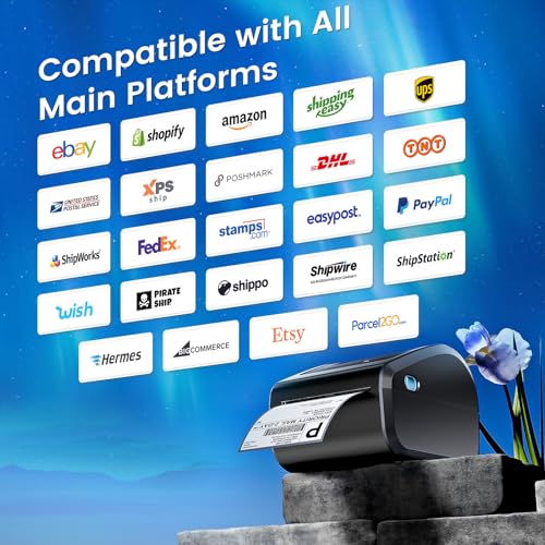 D450BT Bluetooth Shipping Label Printer and 250Pcs Roll Thermal Labels, Wireless Thermal Label Printer for Small Business
