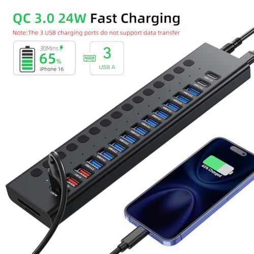 VANGREE Powered USB Hub 10Gbps, 17 Ports USB 3.2 Hub, 96W Power Adapter - color: Black